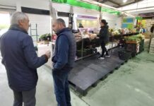 O BNG do Porriño denuncia deficiencias na reforma da praza de abastos