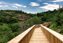 Nigrán ofrece una excursión de dos días a las pasarelas de Mondego