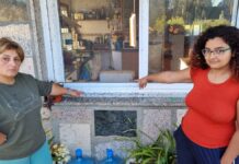 Millones de moscas hacen la vida imposible a los vecinos de Tomiño