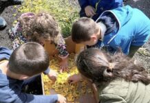 “Os Maios” vestirán O Porriño este fin de semana