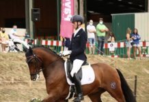 XXI Romería del Caballo en Ribadelouro