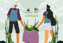 Jornada de eliminación de especies invasoras en el Río Couso