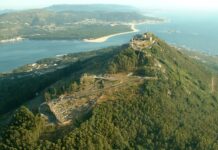 Jornada de voluntariado ambiental en el Monte Trega