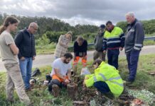 Nigrán atrae al proyecto ‘Verdear’ al parque forestal ‘Os Matos-Río Táboas’
