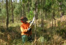 Prohibidas las quemas agrícolas y forestales de particulares hasta nuevo aviso