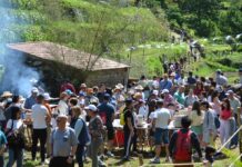 Tui celebra la XXIII Romería “Os nosos fariñeiros. Burros e Muíños”