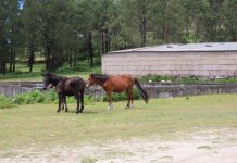Comezan as xeiras de verán do IEM