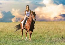 IX Ruta Cabalar en Peitieiros