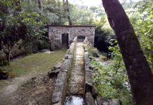 Una andaina para conocer Paramos