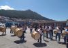 II Encontro Internacional de Grupos Tradicionais de Música en Goián