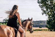 VI Ruta Cabalar en Amorín