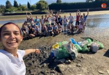 Limpieza del Río Miñor y Praia América con La Isla de Tali