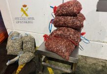 La Guardia Civil de Tui incauta ropa falsificada y marisco ilegal procedentes de Portugal