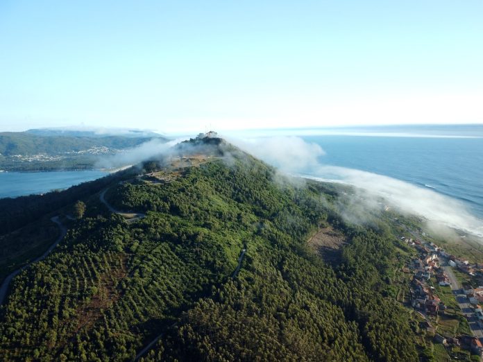 monte trega