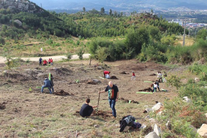 Plantacion Aniversario 21