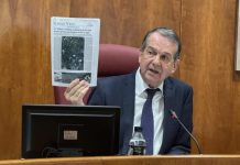 Caballero urge el AVE directo por Cerdedo, la Salida Sur y la autovía a O Porriño
