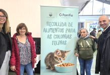 O Porriño lanza una recogida solidaria de alimentos para las colonias felinas