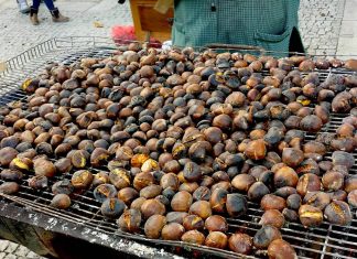A Jalleira celebra la fiesta del Magosto en Torroña