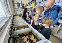Más de 600 personas se acercan a la ciencia marina con la Universidad de Vigo