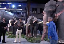 La Fiesta Escénica de Oia sorprende en su visita a El Hormiguero