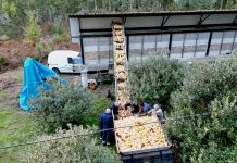 Un vecino de Tui construye un hórreo mecanizado con techo hidráulico de 16 metros