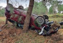 Un coche se sale de la vía y se empotra contra un pino en Chan da Lagoa