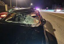 Herido tras arrollar un caballo en Tomiño