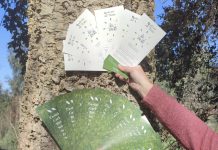 Tomiño regala especies autóctonas para prevenir incendios forestales