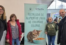 O Porriño licita por primera vez la gestión ética de sus colonias felinas