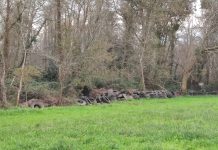 O BNG denuncia a existencia dun vertedoiro ilegal de rodas nas Gándaras de Budiño
