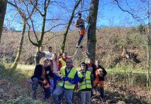 Nigrán instala cajas-nido para pájaros en el parque forestal ‘Os Matos Río Táboas’