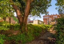 Vigo urbanizará Castro Castriño para unir dos zonas verdes