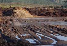 El PP de Tomiño culpa al gobierno local «de las plagas de moscas en verano»