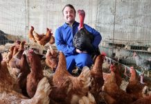 Nace «Nigranja», una granja artesanal que vende directamente sus productos al cliente