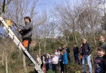 Jornada medioambiental en el CEIP da Cruz de Camos