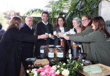 La 60 Exposición Internacional de la Camelia mostrará al mundo la riqueza de la flor de las Rías Baixas
