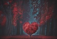Cena-Baile de San Valentín en Matamá