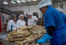 Ana Ortiz destaca la innovación y competitividad de Conservas Cerqueira en Vigo