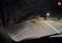Martinho deja árboles caídos, un incendio forestal en Tui y vientos de 123,3 km/h en Oia
