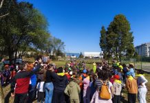 O Porriño celebra el Día del Árbol con más de 170 alumnos en el paseo del Louro
