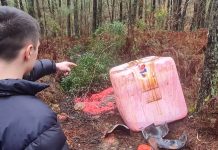 Expectación en O Porriño por un insólito vertido