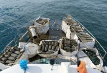 Gardacostas decomisa 500 cacharros de pulpo en Oia