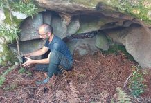 La UVigo participa en un estudio sobre el impacto del eucalipto en la vegetación autóctona