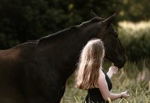 III Ruta Cabalar de Santiago en Morgadáns