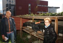 O Porriño implementa el método CES para proteger a las colonias felinas en las calles