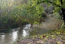 Verdegaia organiza dos actividades en la comarca de A Louriña