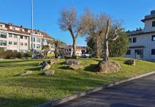 O BNG de Baiona en contra da privatización do servizo de mantemento de zonas verdes