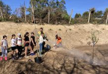 Niños del CEIP Carlos Casares plantan árboles en el bosque-escuela de Vilariño