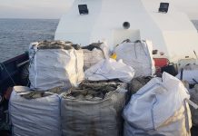 Gardacostas decomisa más de 2.000 cacharros de pulpo en Oia con 377 kilos de esta especie