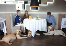 Los perros guía de la ONCE en Pontevedra reclaman su derecho de acceso a establecimientos de restauración